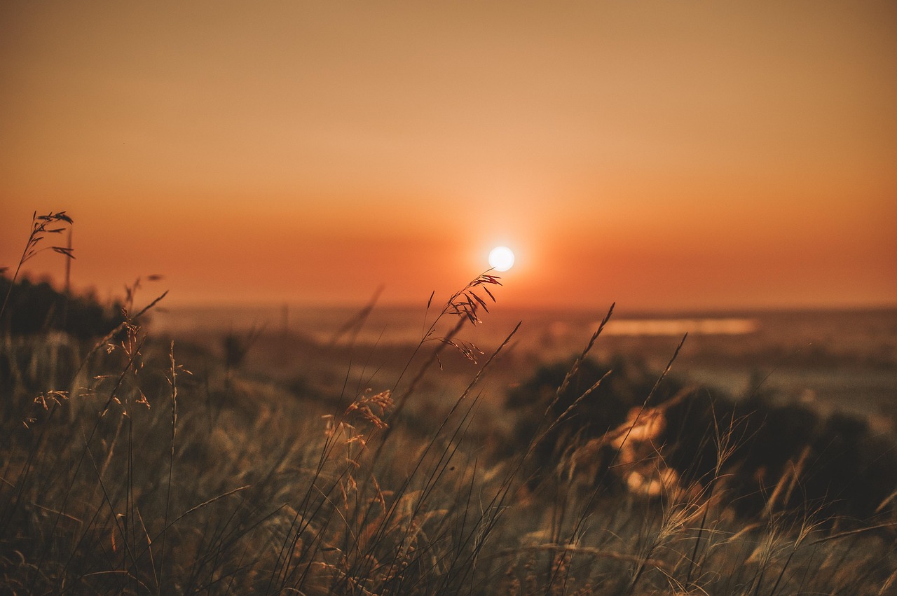 Horizons